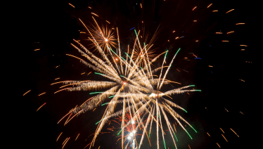 Happy New Year 2019 Article